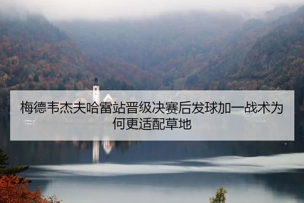 mei-de-wei-jie-fu-ha-lei-zhan-jin-ji-jue-sai-hou-fa-qiu-jia-yi-zhan-shu-wei-he-geng-shi-pei-cao-di-2-126.jpg